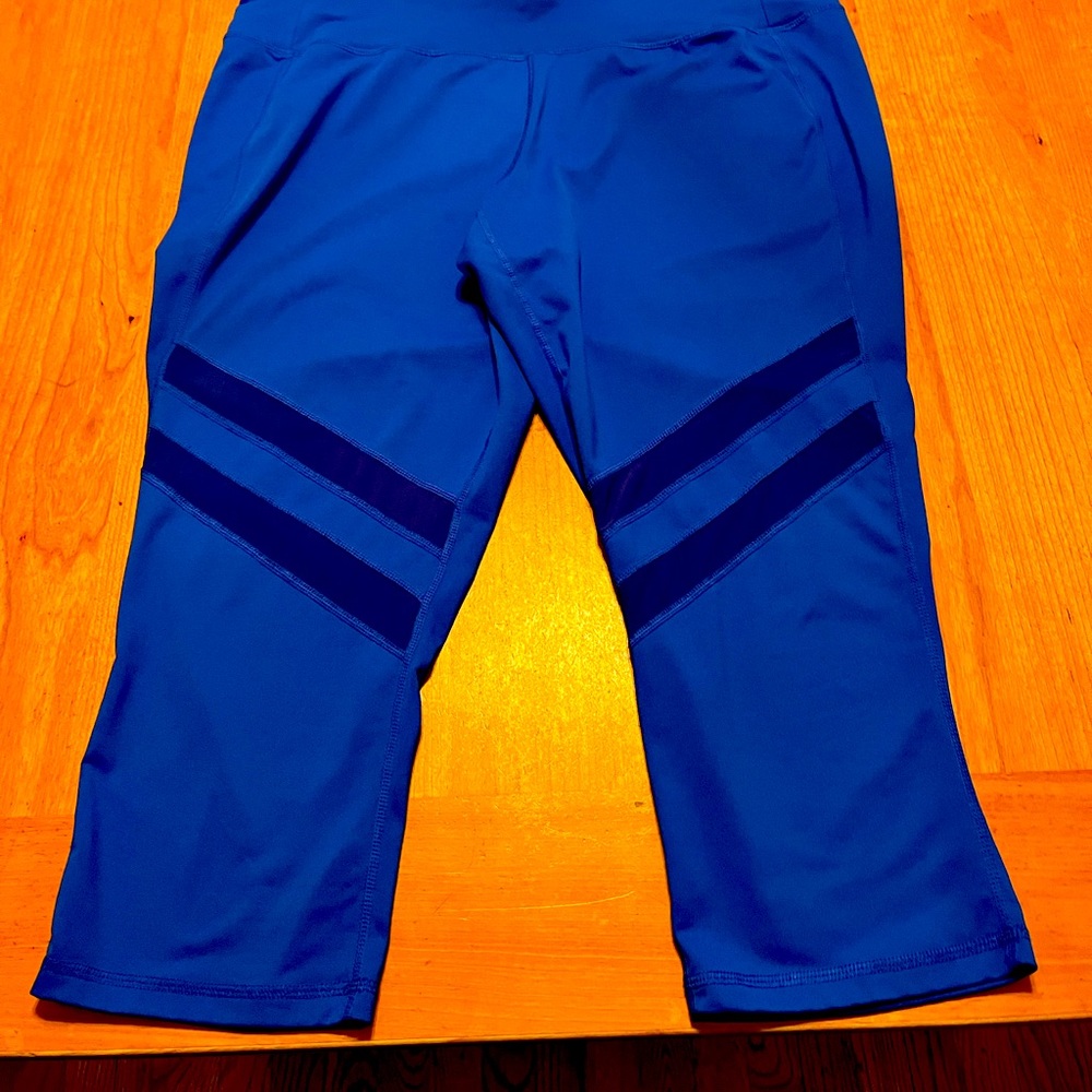 Plus size, athleisure wear capris. Livi size 18/20.